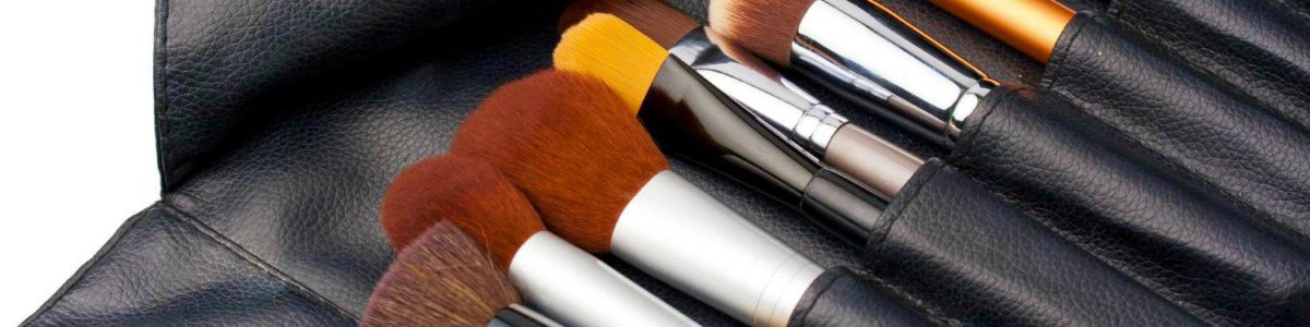 Make-up Brush Guide