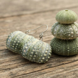 Sea Urchin / Kina Shell earrings - all sizes