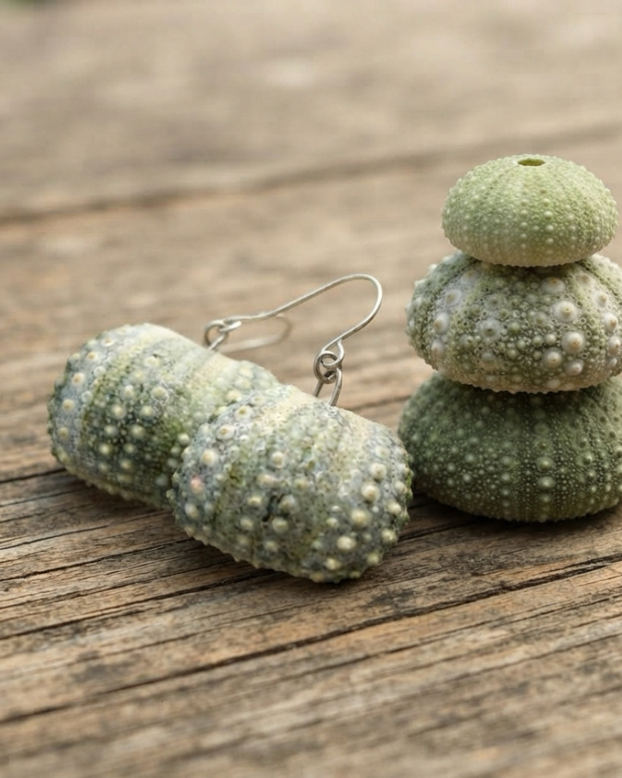 Sea Urchin / Kina Shell earrings - all sizes