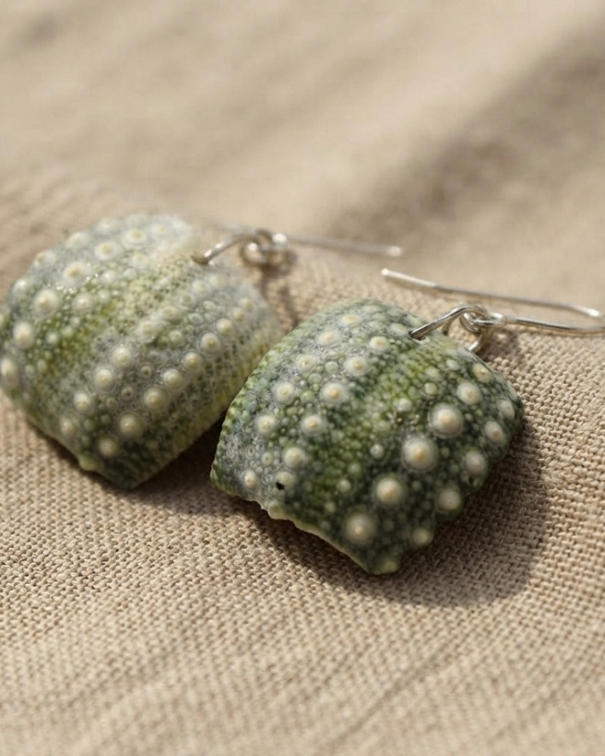 Sea Urchin / Kina Shell earrings - all sizes - Image 2