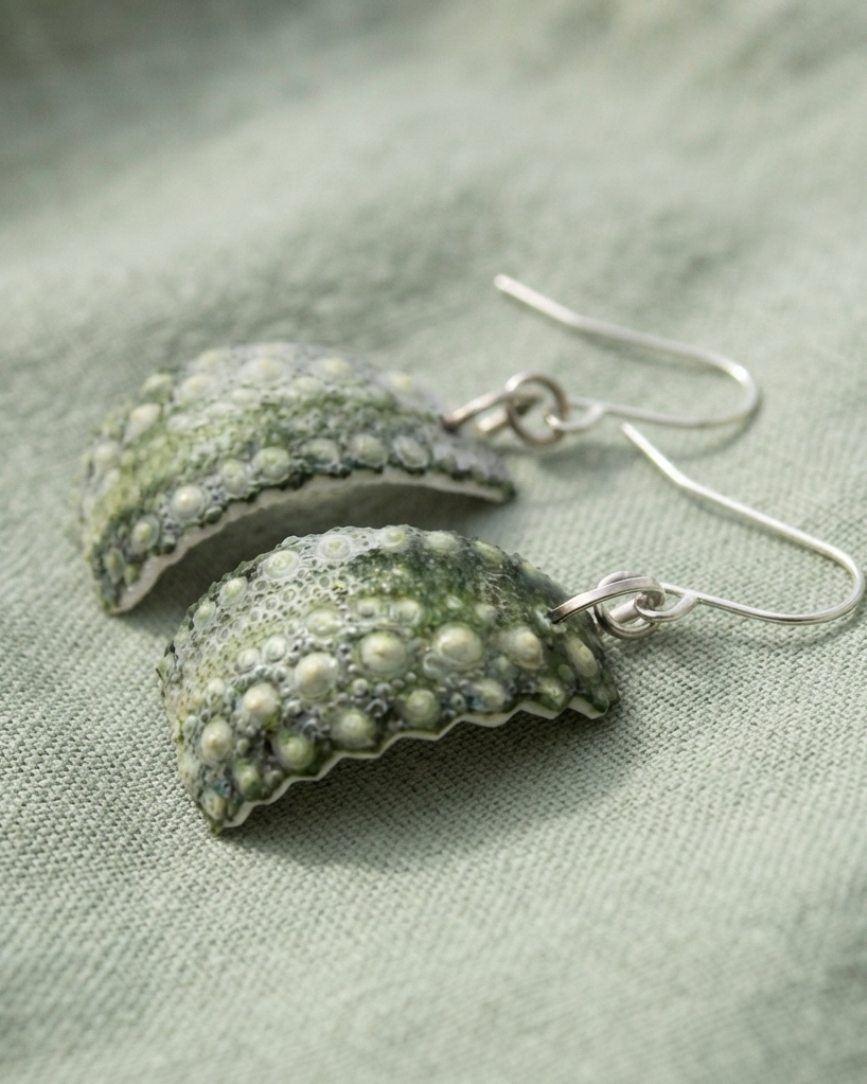 Sea Urchin / Kina Shell earrings - all sizes - Image 7