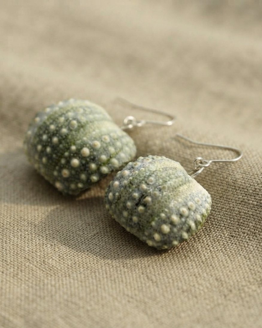 Sea Urchin / Kina Shell earrings - all sizes - Image 4