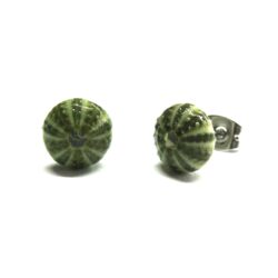 Sea Urchin / Kina Shell Studs