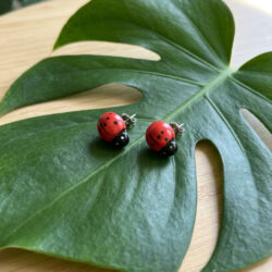Ladybug Stud earrings