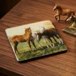 Resin Coasters - Horses