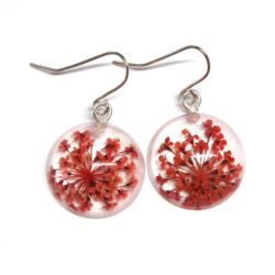 Queen Anne's Lace - assorted colours