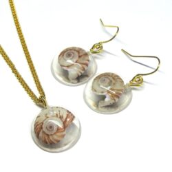 Sea Snail Shell Necklace & Earrings