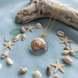 Sea Snail Shell Necklace
