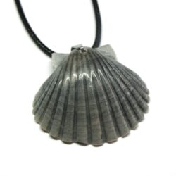 Black Scallop Shell Necklace