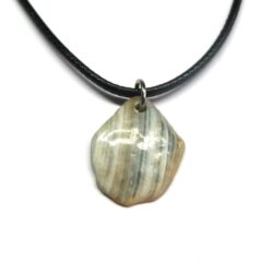 Striped Shell Fragment Necklace