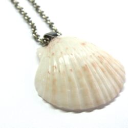 Pink Scallop Shell Necklace