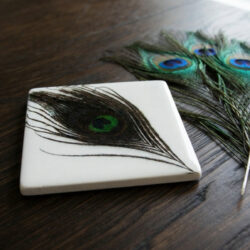 Resin Coasters - Peacock Feather