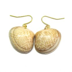 Zigzag Bivalve Shell Earrings