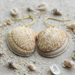 Zigzag Bivalve Shell Earrings