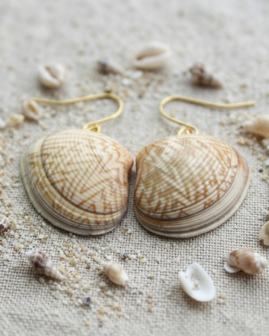 Zigzag Bivalve Shell Earrings