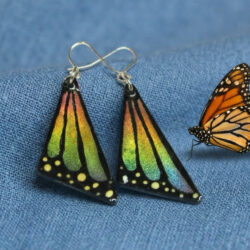 Butterfly Wings - Rainbow Ombré small