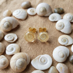 Shiva Eye Studs
