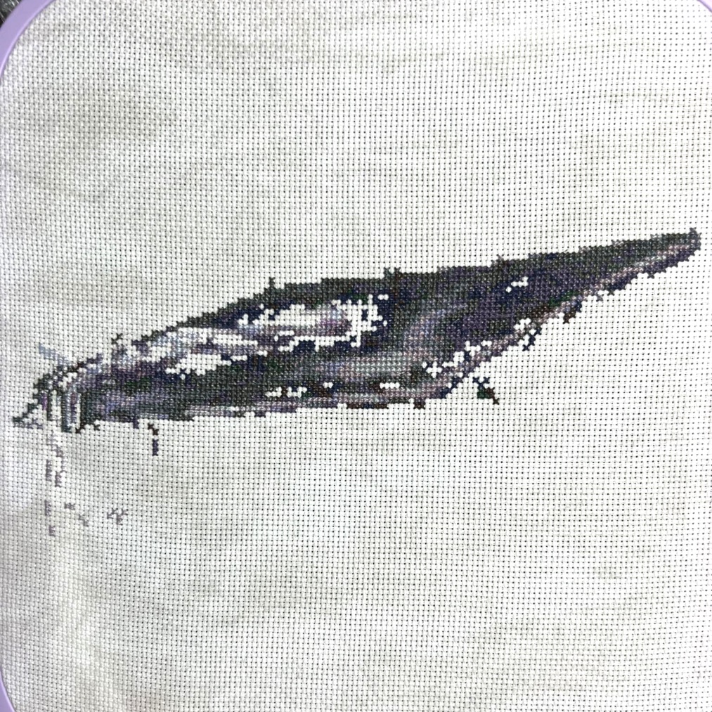 Graduation - Lavender and Daisies - Image 4