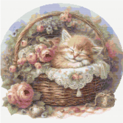 Kitten in Rose Basket