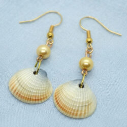 Bivalve Shell & Pearl Earrings - Gold