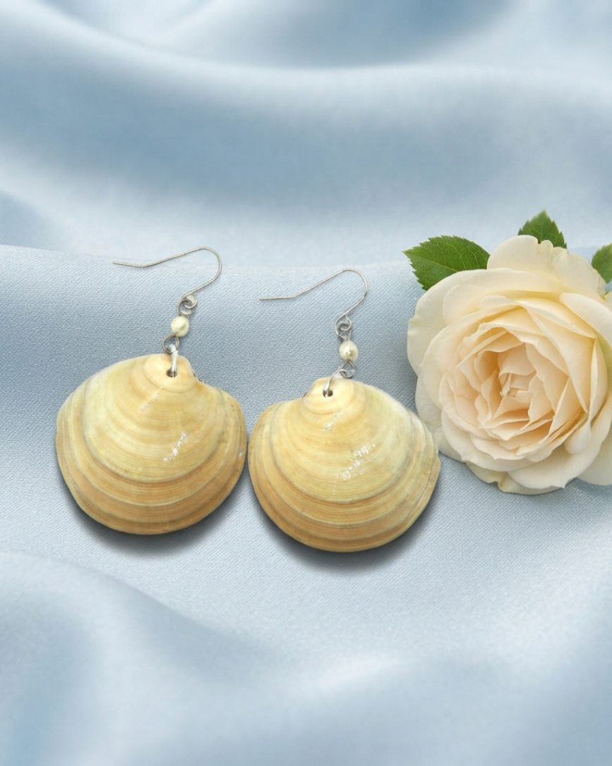 Ringed Dosinia Shell Earrings