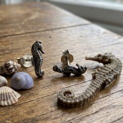 Seahorse Studs