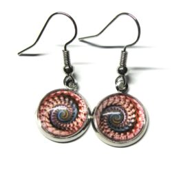 Nautilus Cabochon - Octopus