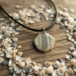 Striped Shell Fragment Necklace