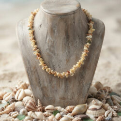 Assorted Shell Necklace
