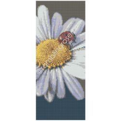 Ladybug on Daisy Bookmark