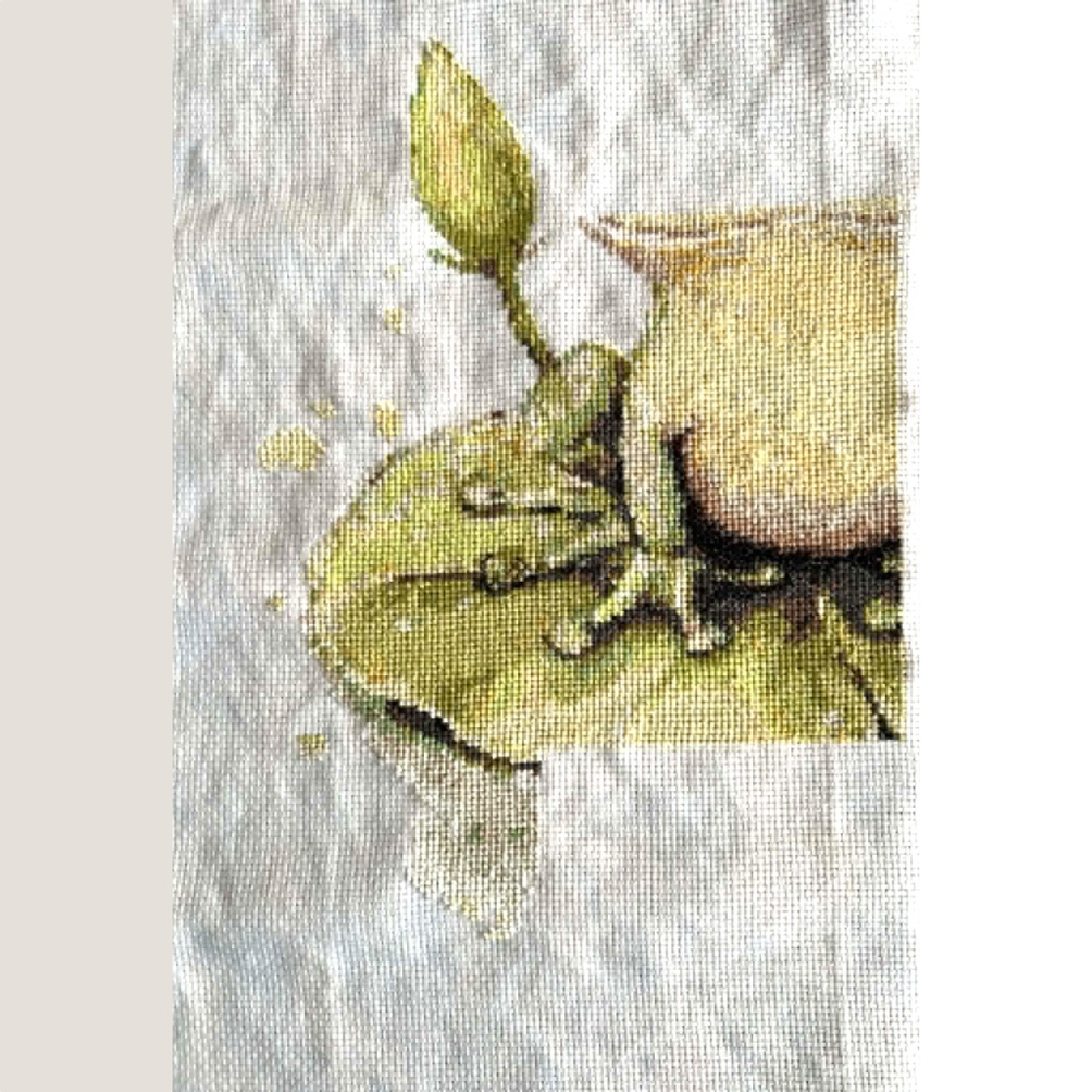 Frog with Lotus Flower - Image 3