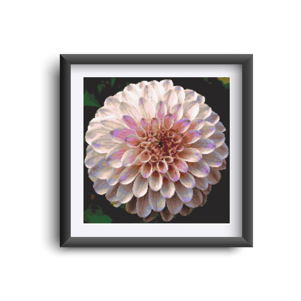Dahlia - pink - Image 2
