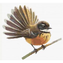 Fantail / Pīwakawaka