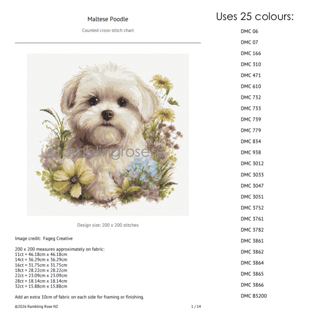 Maltese Poodle - Image 2