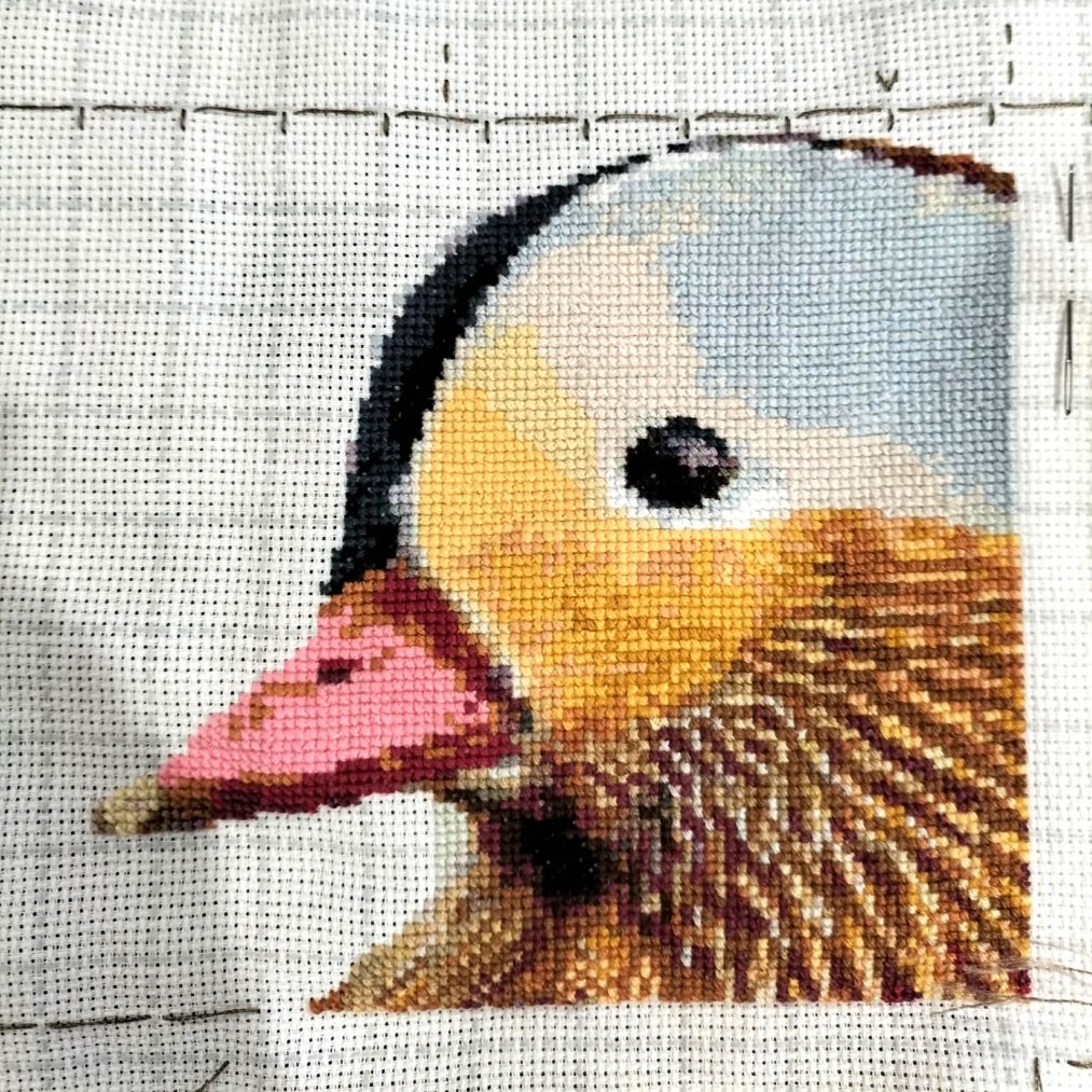 Mandarin Duck - Image 4