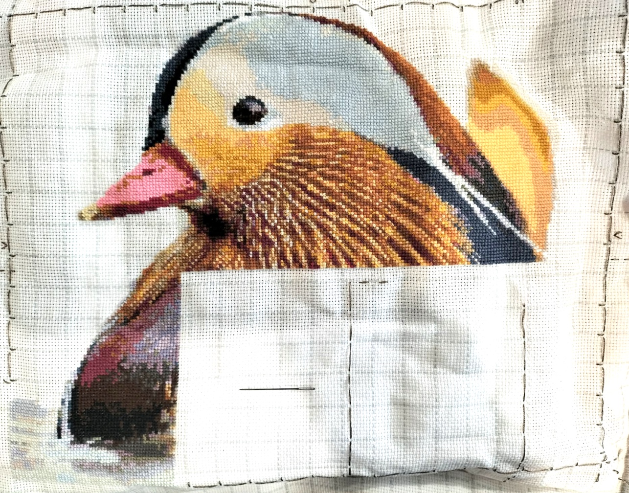 Mandarin Duck - Image 6