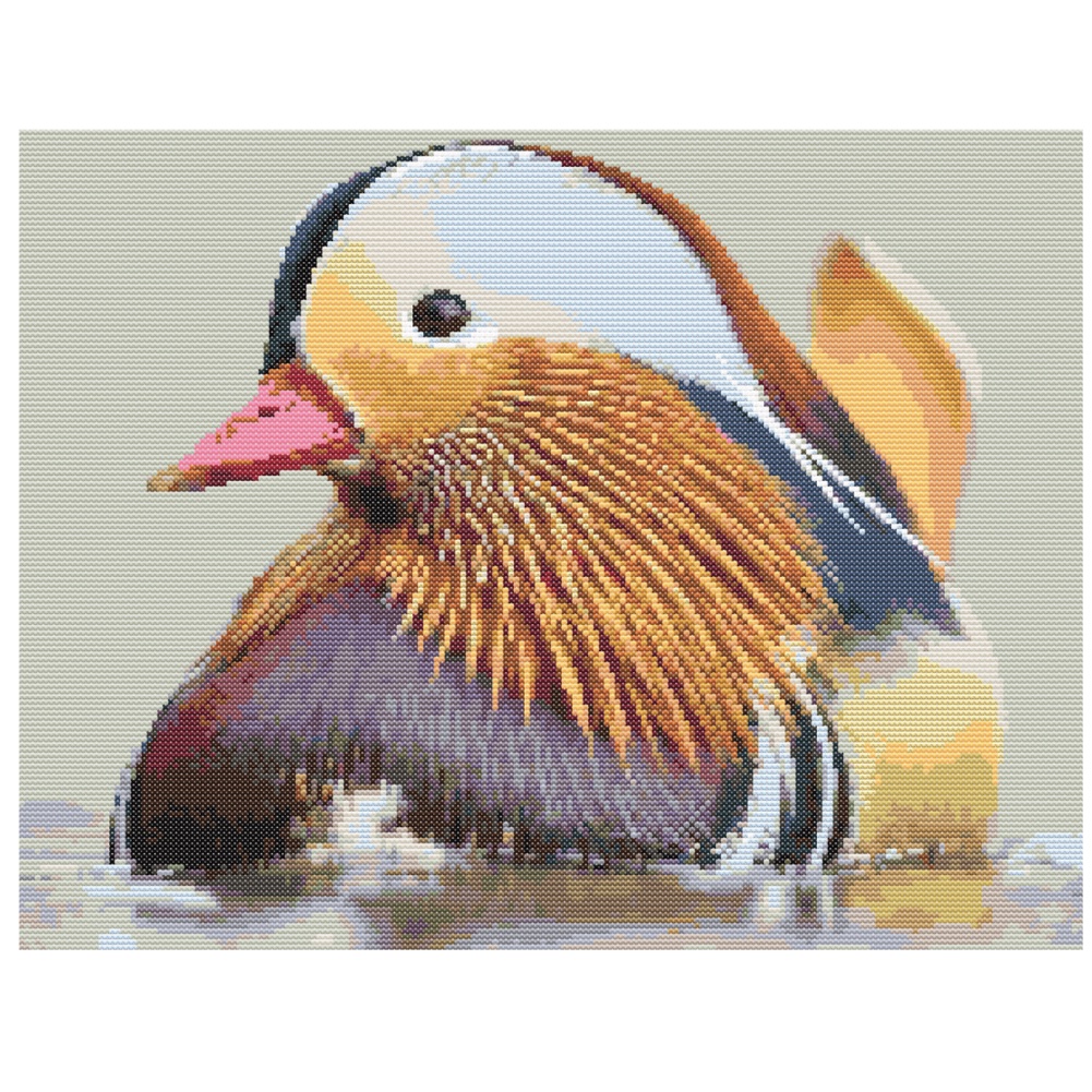 Mandarin Duck