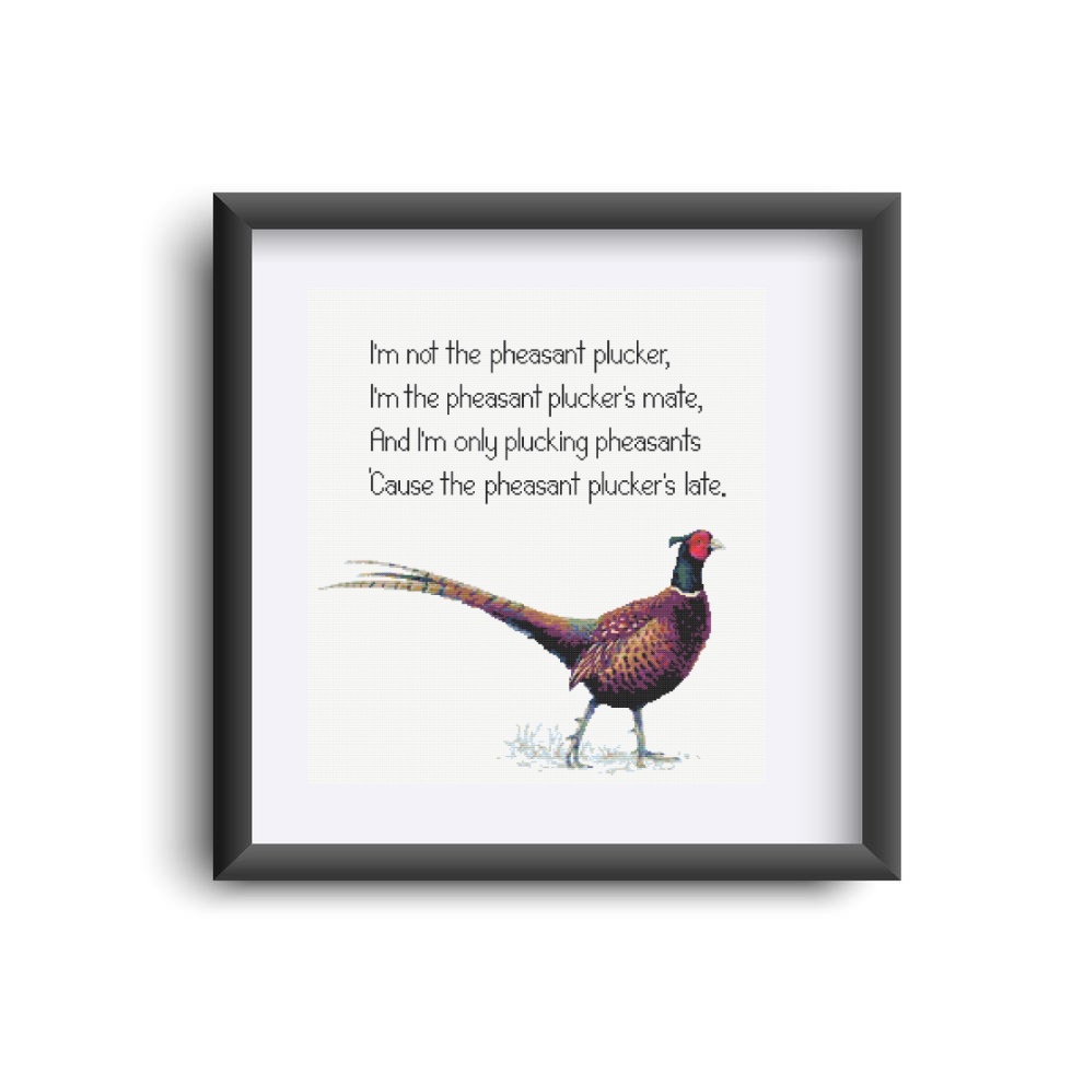 Pheasant Plucker - Image 2