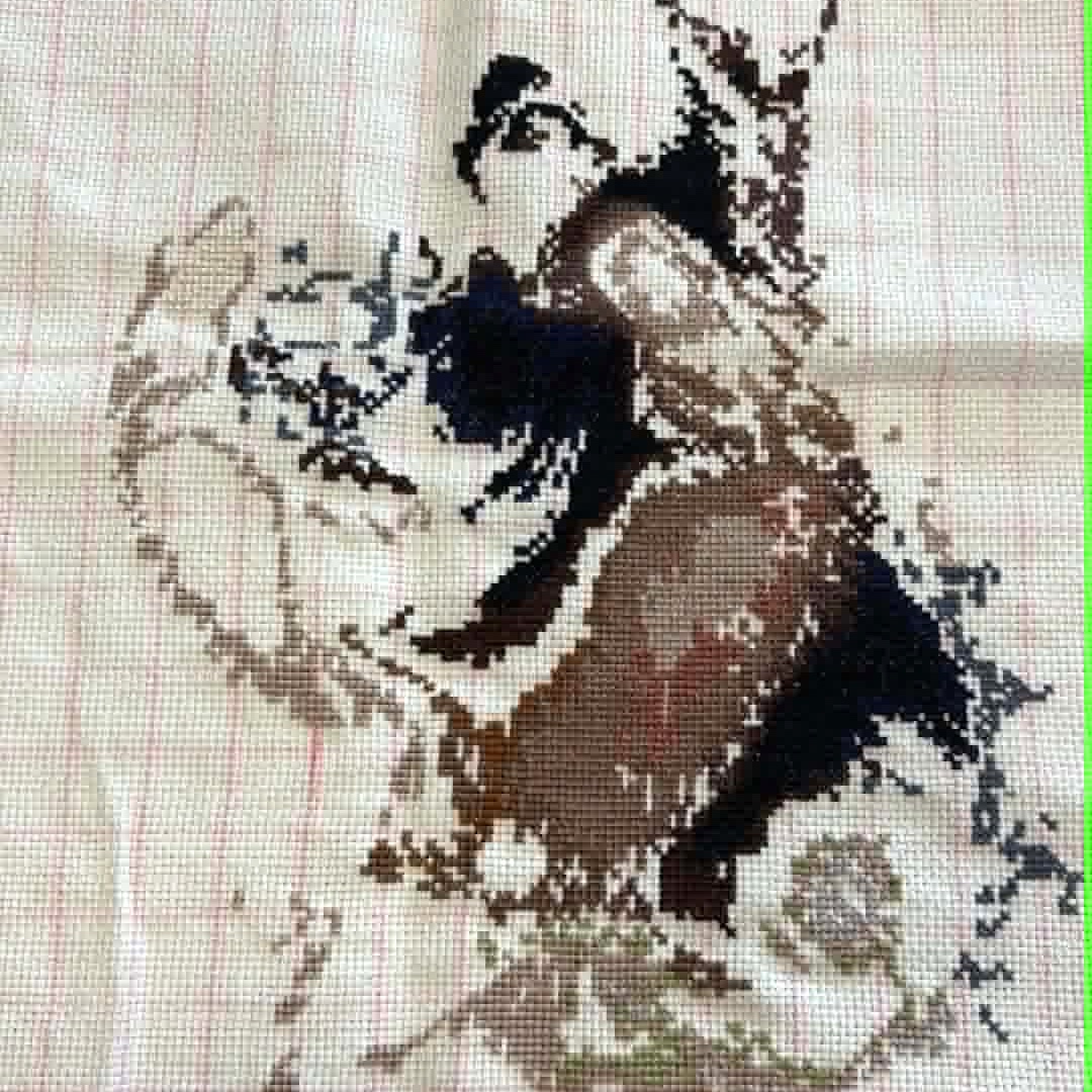 German Shepherd - Image 3