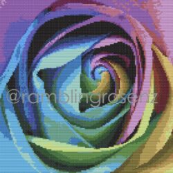 Rose - Colourful