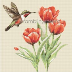 Hummingbird & Tulips