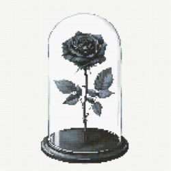 Rose in Glass - Black