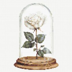 Rose in Glass - White