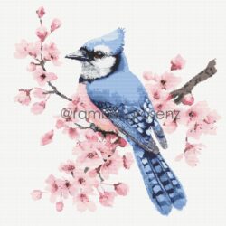 Blue Jay