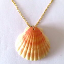 Small Scallop Shell Necklace