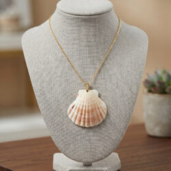 Small Scallop Shell Necklace